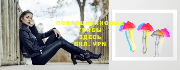 герыч Арсеньев